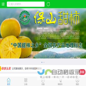 保山甜柿_保山蓝源果业有限公司